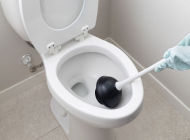 Nguyên nhân gây bốc mùi trong bồn cầu